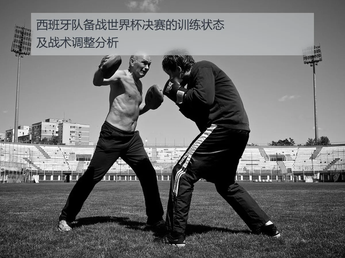 西班牙队备战世界杯决赛的训练状态及战术调整分析